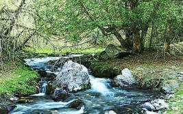 泉州德化：小水电绿色嬗变 还清水于河流(德化水电站电站下泄生态)