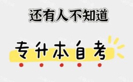 报了自考本科还能报专升本吗