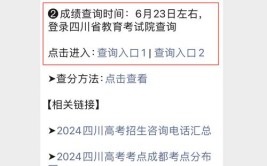 2024新高考九省联考成绩什么时候查询