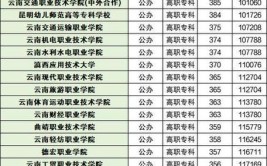 2024云南公办专科大学排名名单及录取分数线位次