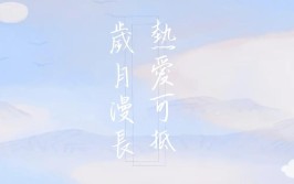 网友：热爱可抵岁月漫长(火上汽修热爱岁月霹雳舞)