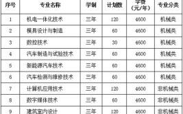 2024湖南九嶷职业技术学院单招学费多少钱一年