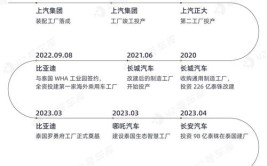 “新奶酪”等待“被吃到”(纺织品车用汽车材料产业)