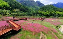 浙江泰顺：廊桥氡泉“双剑合璧”全域旅游“华丽蝶变”(廊桥旅游创建新华网度假)