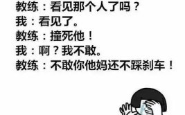 考驾照学车和教练对话的搞笑沙雕文案(教练文案学车对话考驾照)