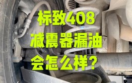 漏油代表寿命终结？减震器到底在何种状态才需更换(减震器漏油更换寿命终结)