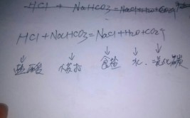 盐酸和碳酸氢钠的离子方程式