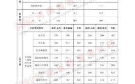 2024年艺考文化课分数线是多少