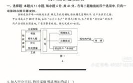 全国甲卷乙卷丙卷区别