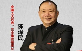 50岁辞职卖汤圆 三全陈泽民的两次创业路(地热汤圆速冻创业两次)