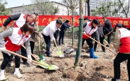 植此青绿不负春光揭阳普宁开展2024年推进绿美广东生态建设义务植树活动