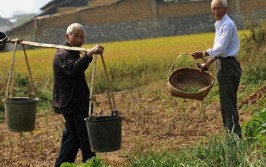 和时尚“挂上了挡”(消费农民老人农村孩子)