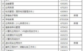 上海思博职业技术学院中外合作办学学费多少钱一年