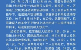 福建莆田重大刑案致2死3伤嫌疑人自杀身亡背后：豪宅叠起与寸土寸金的土地之争(豪宅建房上林土地刑案)