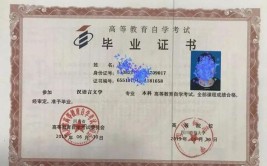 高中文凭可以直接报考本科吗