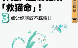 养了猫就活该喂蚊子吗养猫家庭安全驱蚊指南来了