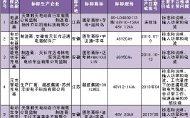 广西市场监管局抽查电动自行车充电器16批次产品 1批次不合格(标称充电器质量检验产品研究院)