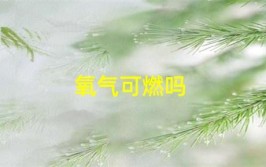 氧气有可燃性还是助燃性