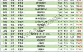 重庆医科大学国际医学院有哪些专业