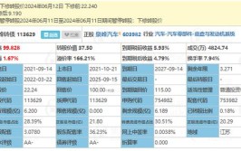 众泰汽车再次下修业绩 预计去年亏损过百亿(众泰汽车亿元亏损亏损额)