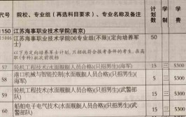 江苏海事职业技术学院中外合作办学学费多少钱一年