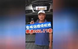 对车有感情彻底整修翻新(奥迪机油整修车友翻新)