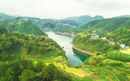 丽水深度游（八）遂昌：这个浙西南的宝藏小城不要太迷人(遂昌浙西不要太宝藏小城)