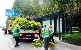 青州市抓实绿化养护的关键点 打牢问题督查的宽地基