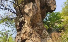 河南省方城县西北部一块神奇的风水宝地(家庄风水宝地虎头山上天书)