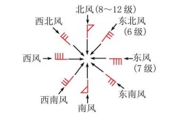 风向标怎么判断风向