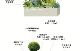 庭院植物品种栽植配置和养护管理措施