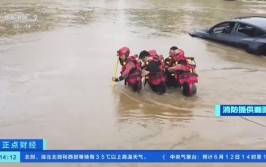 车辆倒车滑入河中 车主跳车惊险逃生(新民晚报倒车民警车辆河中)