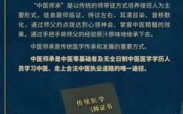 2024中医师承最新政策要求