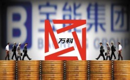 2015年万科、宝能股权之争是他创业以来最大的难关？实际上，2008年才是(是个社会自己的发现拐点)