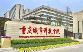 重庆城市科技学院是公办还是民办大学？