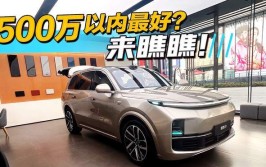 网友：这还敢说是500万以内最好SUV？(理想试驾中国经济前轴缓冲)