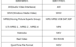 视频格式有哪几种