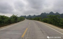 武鸣至乐圩武鸣至府城段四级公路路面工程招标