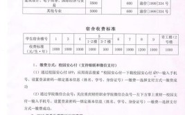 重庆财经学院中外合作办学学费多少钱一年