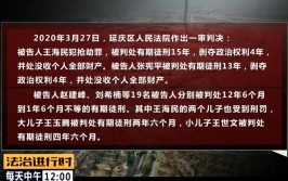 北京扫黑除恶战果：王海民、王海深犯罪集团覆灭(除恶覆灭战果犯罪延庆)