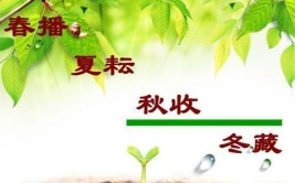 小卡片益生菌高产量春耕时节怎么能少得了它们