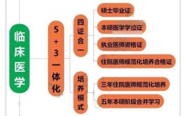 5+3一体化五年制是什么意思