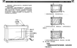 超实用生态缸教程三分钟教会你不信你还不会