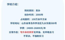 青岛恒星科技学院是公办还是民办大学？