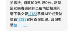 违章次数多达233次！潍坊昌乐曝光“违章大王”车辆信息(违章车辆大王次数曝光)