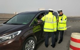 既安全又实用！(石块车主交警方法开车)