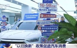 再卖旧车，购买汽车是否理性？(订金旧车自己的先付购买)