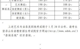 山东编导艺考学编导我想上综合类大学文化课需要多少分