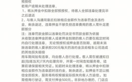 租车避坑指南(押金违章租车套路不为人知)