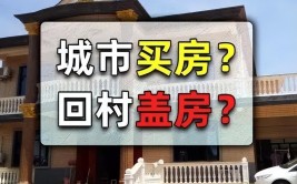 5年后城里买房与农村盖房谁更吃香终于说清楚了